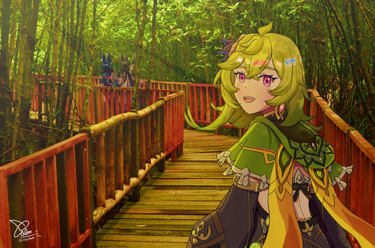 Collei - Mangrove Forest Collei - Mangrove Forest